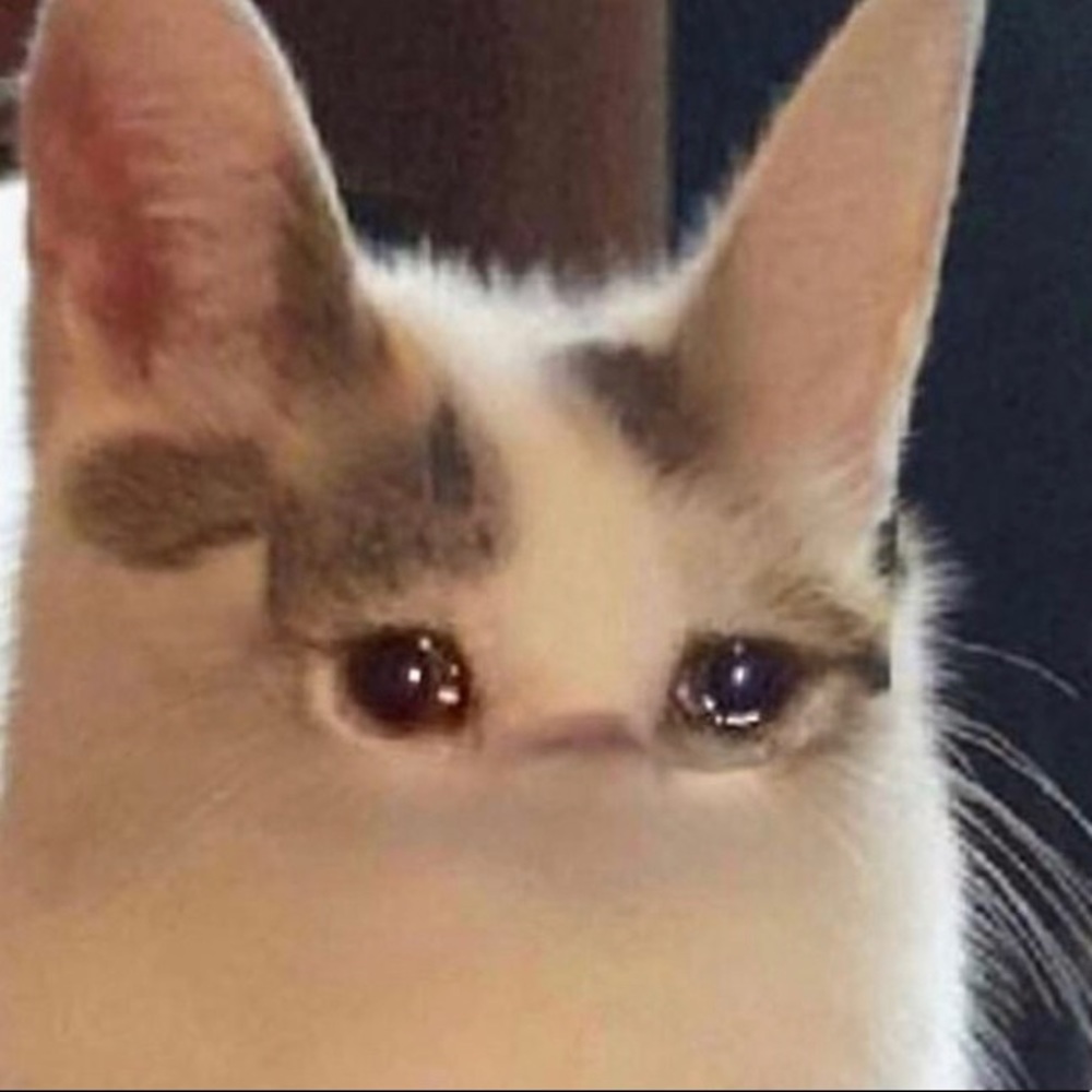 Meet your Posher, Chloe